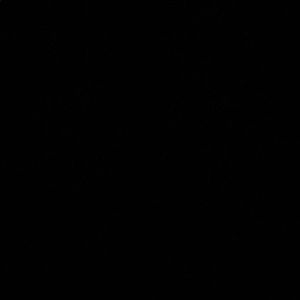 Meet your Posher, Tommy